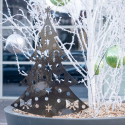 Outdoor Corten fir in a pot